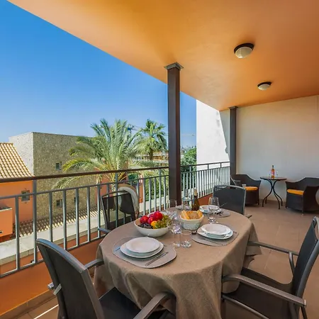 Orange Tree Oasis