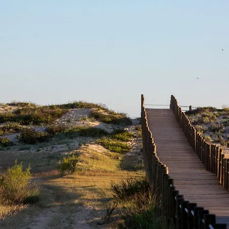 Orange Tree Oasis Apartment *