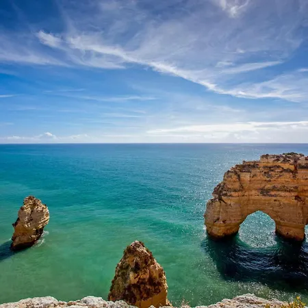 Orange Tree Oasis Apartment