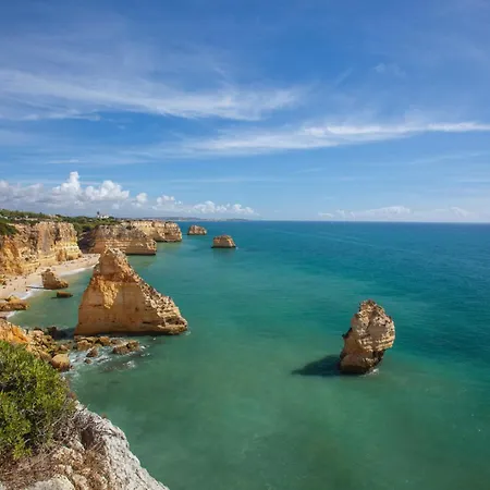 Apartment Orange Tree Oasis *