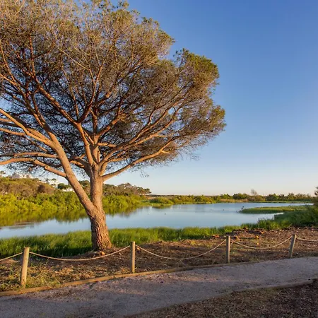 Orange Tree Oasis * Vilamoura