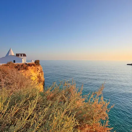 Orange Tree Oasis Apartment *