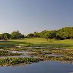 Orange Tree Oasis Апартаменты